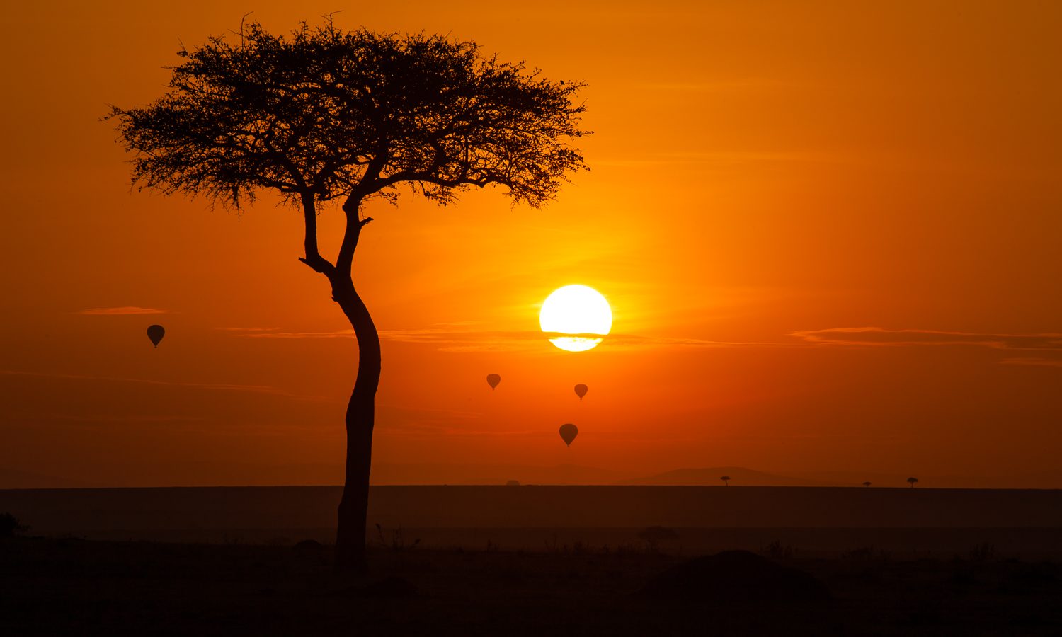 Maasai Mara National Reserve, Kenya
