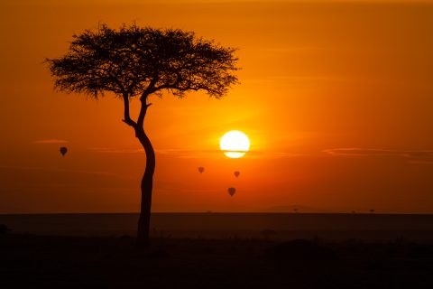 Maasai Mara National Reserve, Kenya