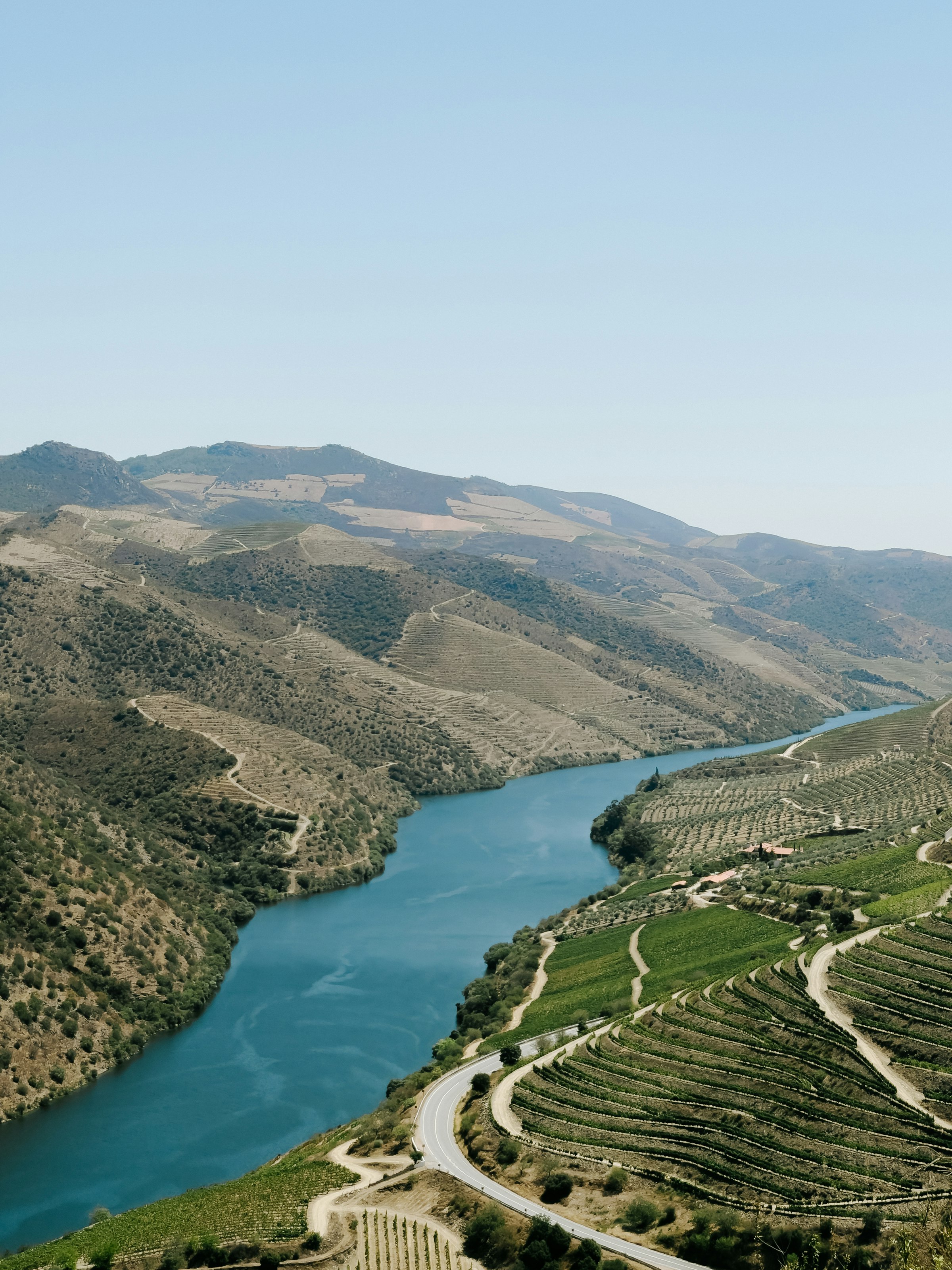 Terraced vineyards along the Douro River near Porto Portugal