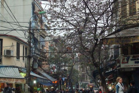 Where to eat in Hanoi guide showing a bustling Old Quarter street scene