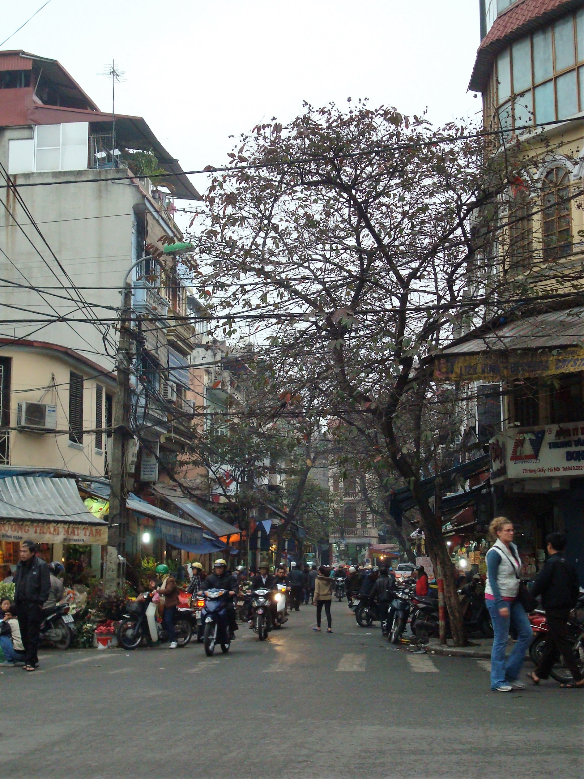 Where to eat in Hanoi guide showing a bustling Old Quarter street scene