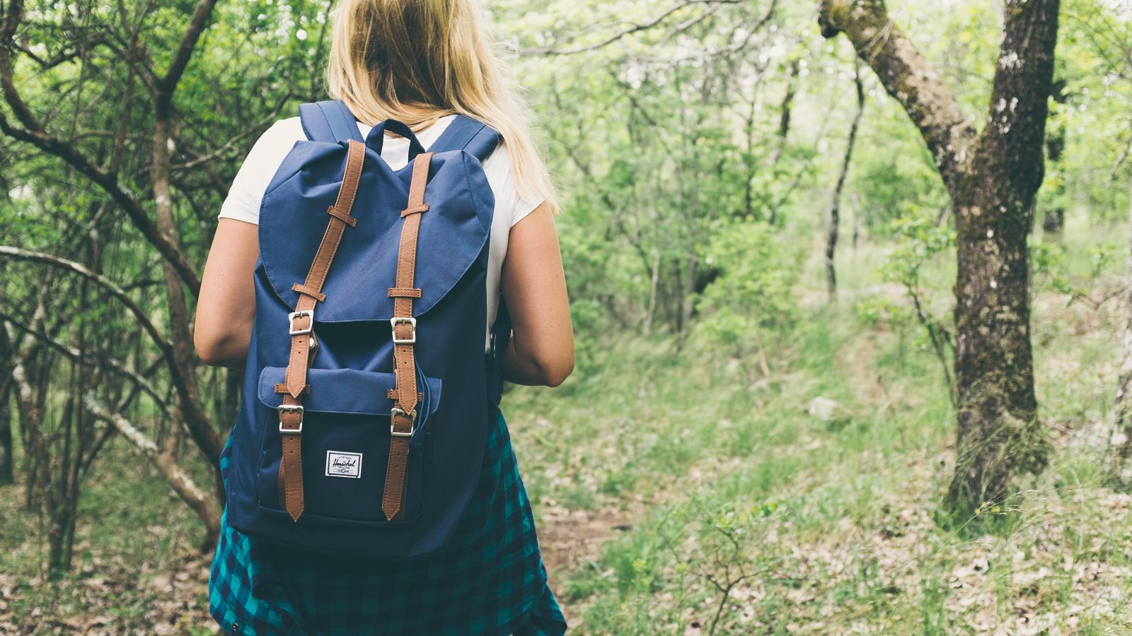 Hiker walking through a lush green forest trail with a daypack