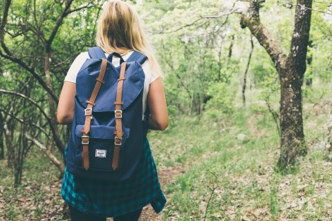 Hiker walking through a lush green forest trail with a daypack