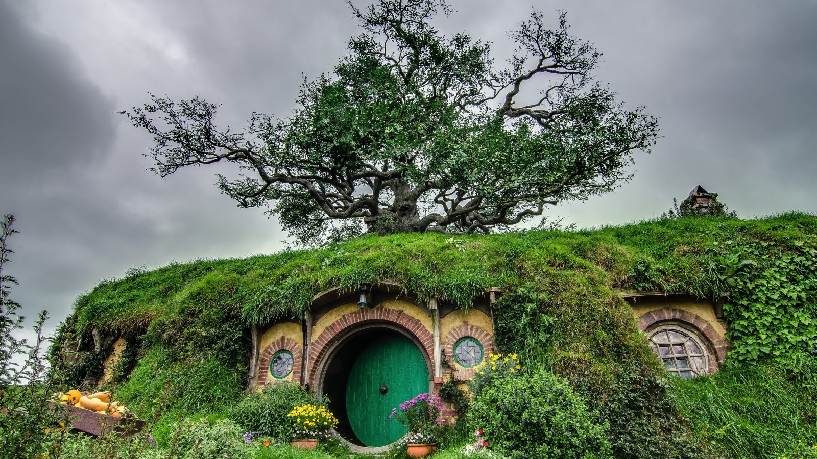 Rolling green hills and hobbit holes at the Hobbiton Movie Set, a leading set-jetting destination