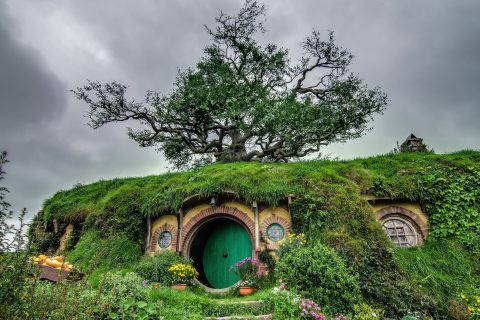 Rolling green hills and hobbit holes at the Hobbiton Movie Set, a leading set-jetting destination