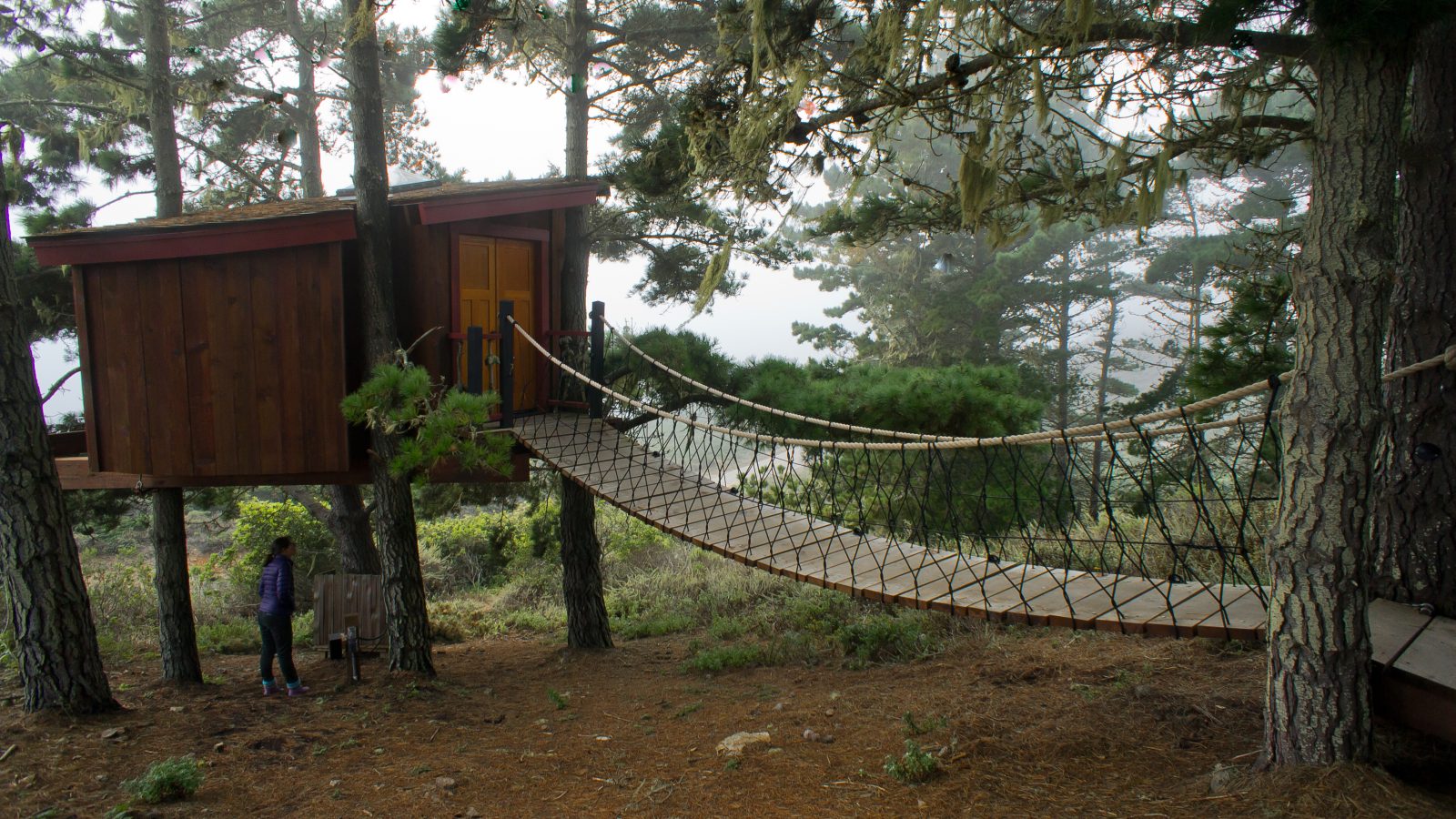 One of the treehouse hotels perched among trees at Big Sur, California