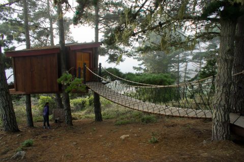 One of the treehouse hotels perched among trees at Big Sur, California
