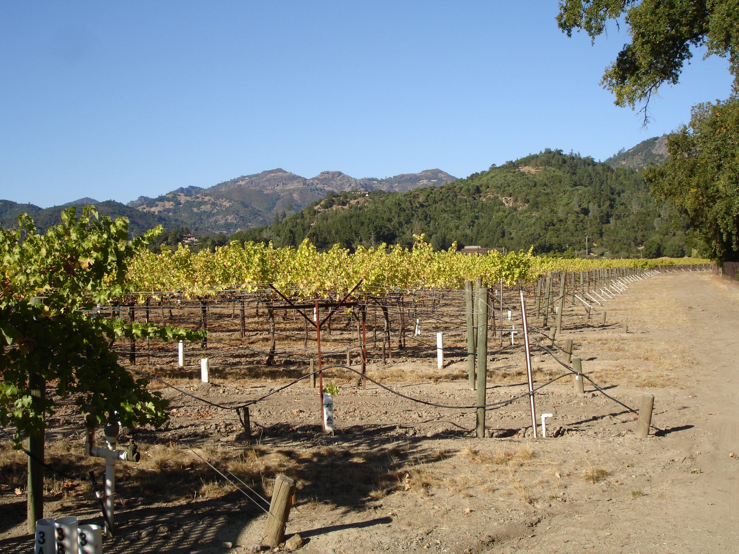 Sterling Vineyards, a vineyard hotel destination in Napa Valley, California