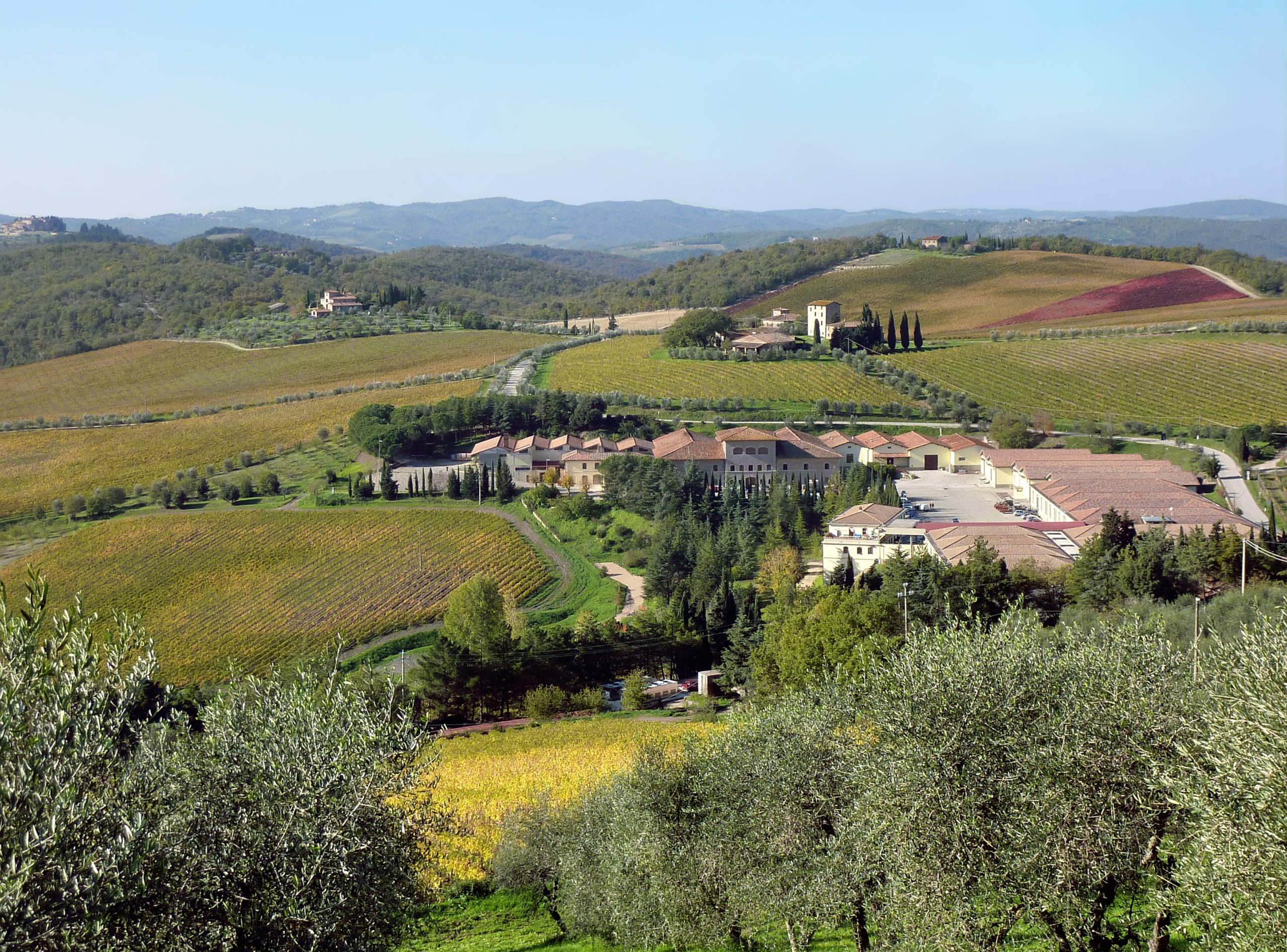 A working wine estate in the Chianti region near a vineyard hotel