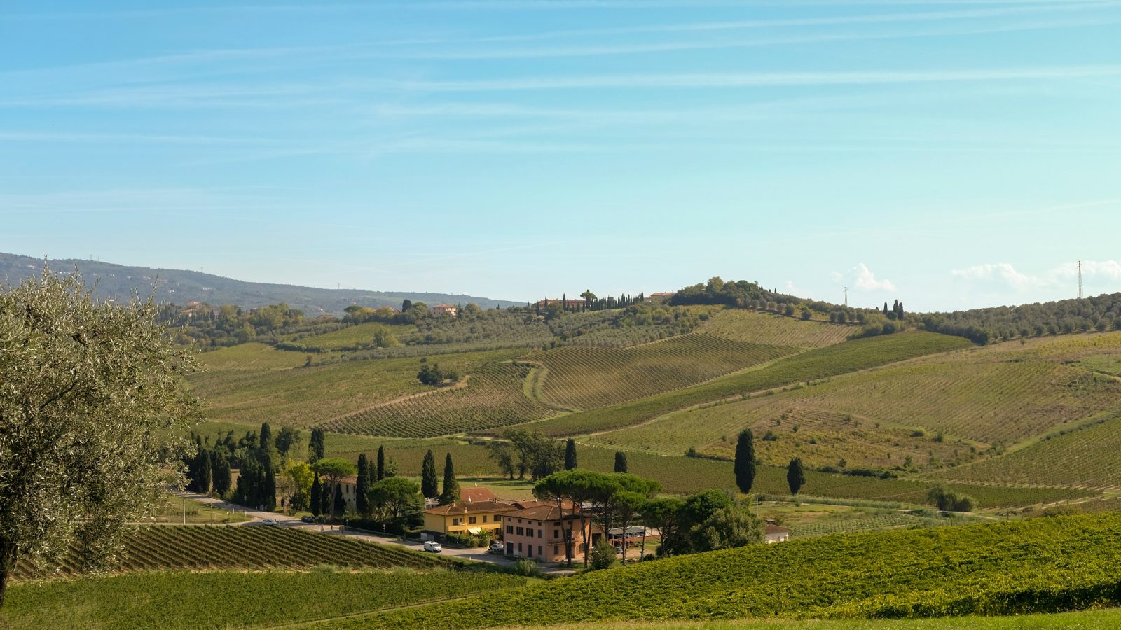 Rolling vineyard hills in Tuscany, one of the best wine regions in Europe
