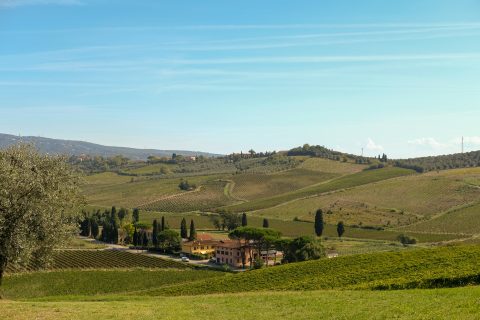 Rolling vineyard hills in Tuscany, one of the best wine regions in Europe